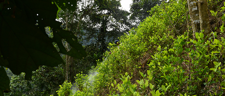 figure#latest insights 218357