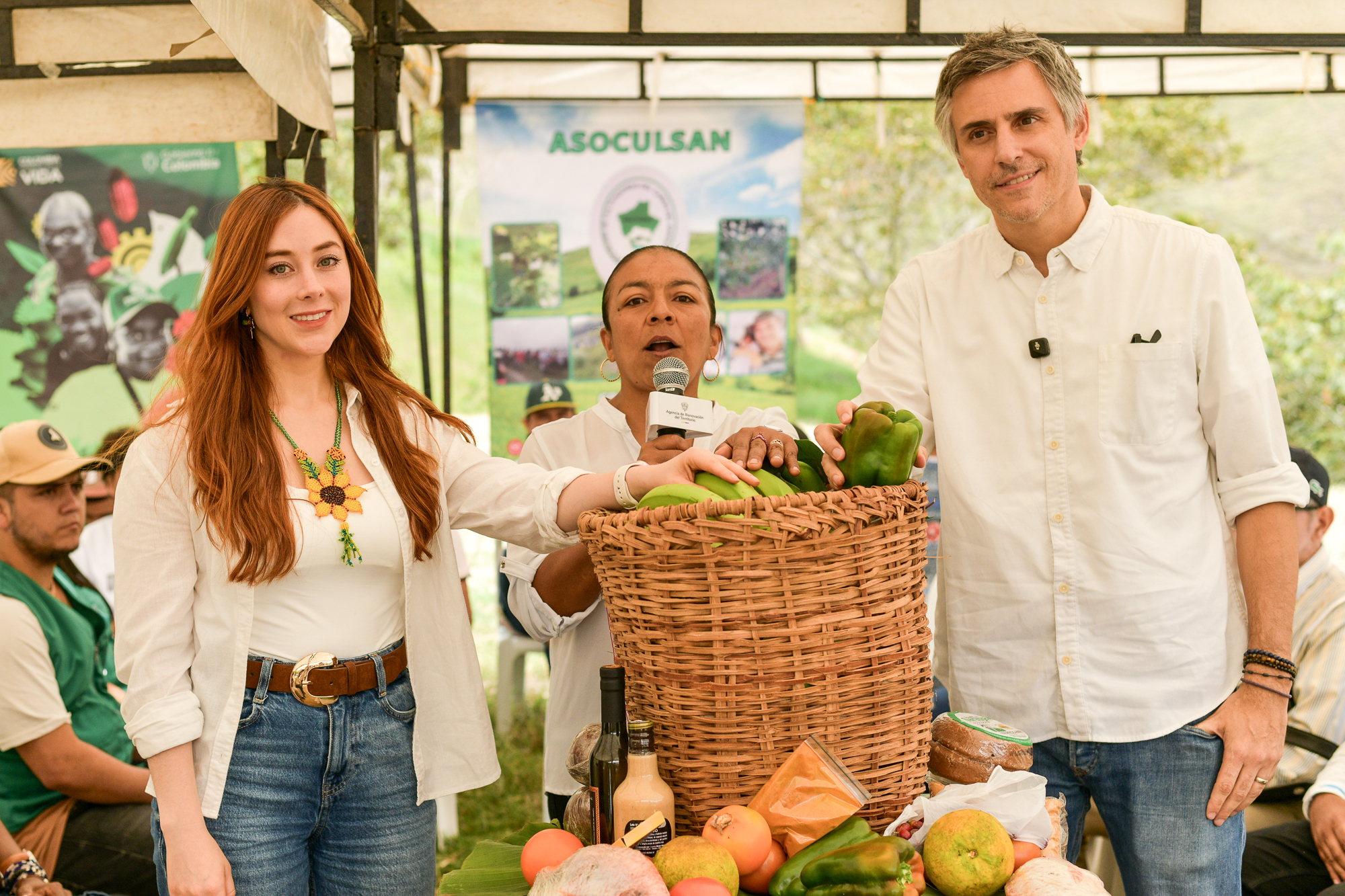En Valle del Cauca, la sustitución voluntaria consolida alianzas que fortalecen economías legales
